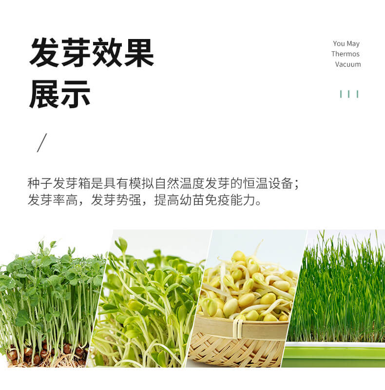 種子發(fā)芽箱