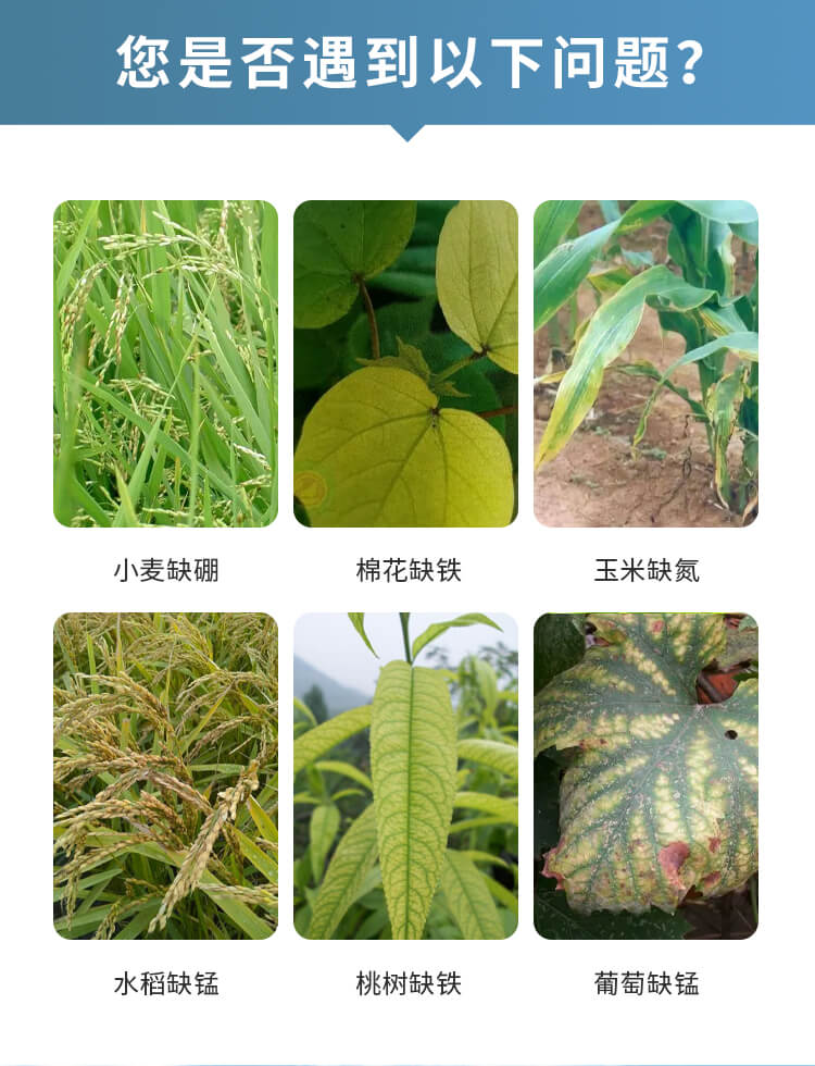 土壤檢測儀