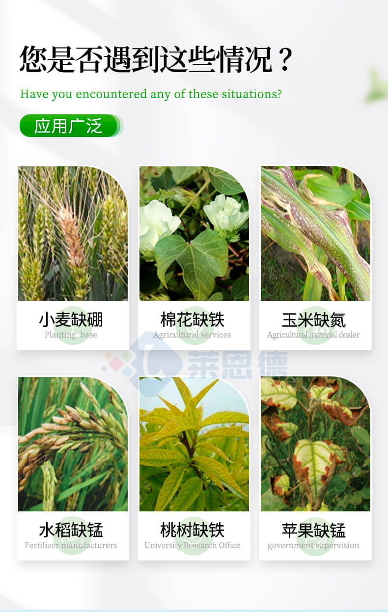 土壤速測(cè)儀