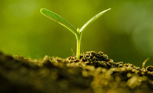 為避免誤導用戶，便攜式土壤水分速測儀使用需注意