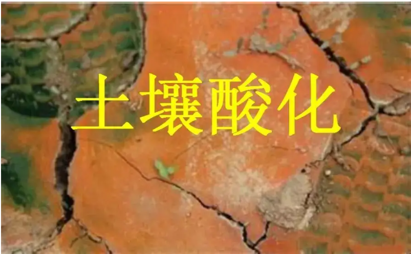 識(shí)別土壤“病”，土壤測(cè)試儀器是如何提高土壤免疫力的？