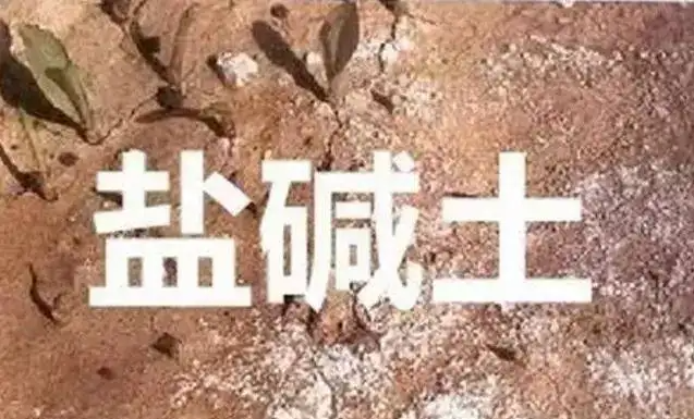 作物為什么生長不健康，用土壤EC計測測便知