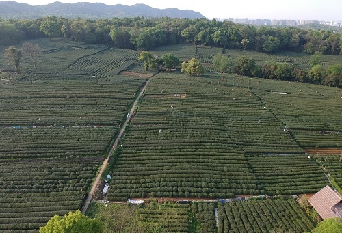 肥料不是越多越，利用測(cè)土儀提高化肥利用率