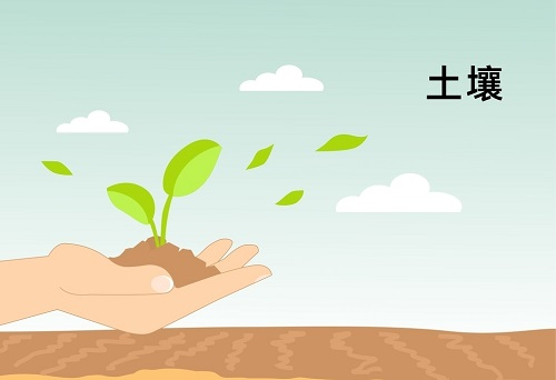 土壤墑情監(jiān)測(cè)系統(tǒng)在精細(xì)農(nóng)業(yè)發(fā)展中扮演著什么角色？