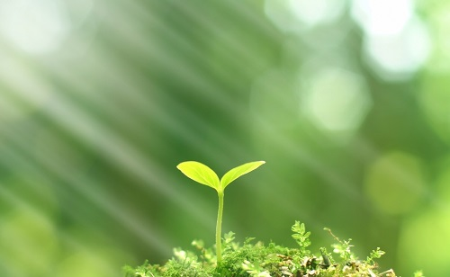 推廣測土配方施肥技術(shù)的有哪些好處？