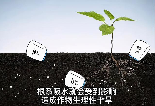 土壤EC值和pH值與作物生長(zhǎng)的關(guān)系，利用土壤鹽分儀緩解土壤鹽漬化